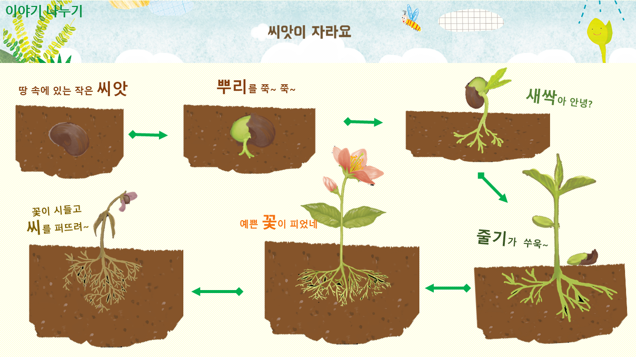 교사교육 및 자료