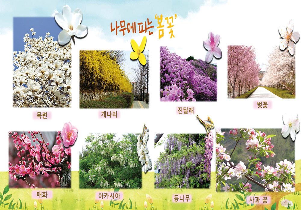 교사교육 및 자료
